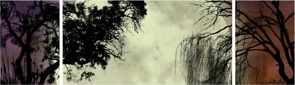 Obraz - Księżyc w pełni nad powierzchnią (170x50 cm)