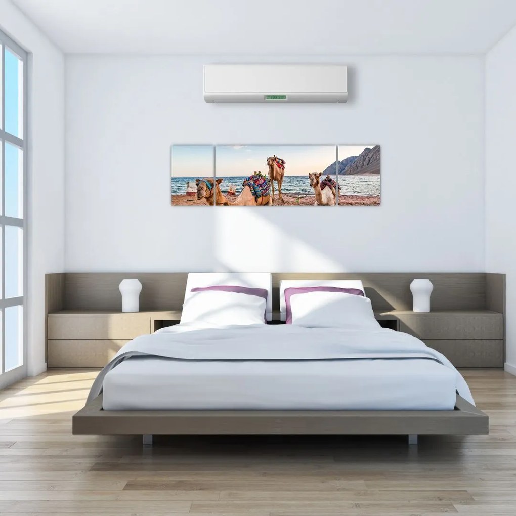 Obraz wielbłądów (170x50 cm)