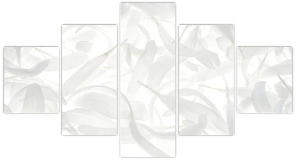 Obraz - Płatki (125x70 cm)