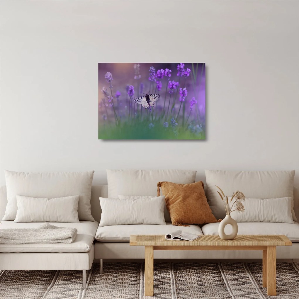 Obraz na szkle - Motyl w lawendach (70x50 cm)