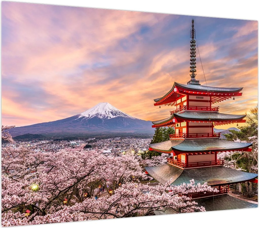 Obraz - Fuji (70x50 cm)