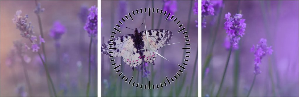 Obraz - Motyl w lawendach (z zegarem) (90x30 cm)