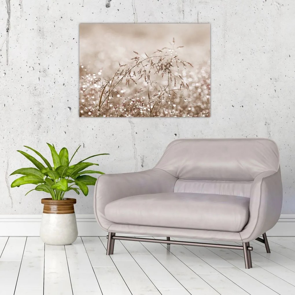 Obraz - Łąka w odcieniach brązu (70x50 cm)