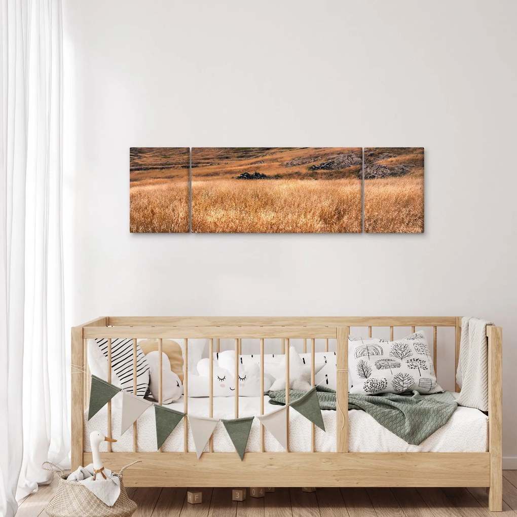 Obraz pola (170x50 cm)