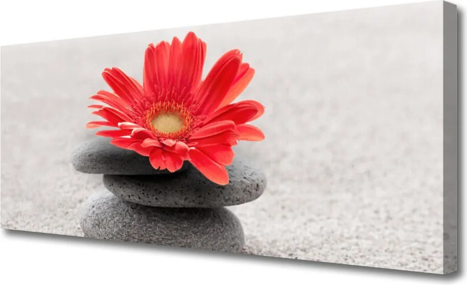 Obraz canvas Radosna Gerbera w Detalu