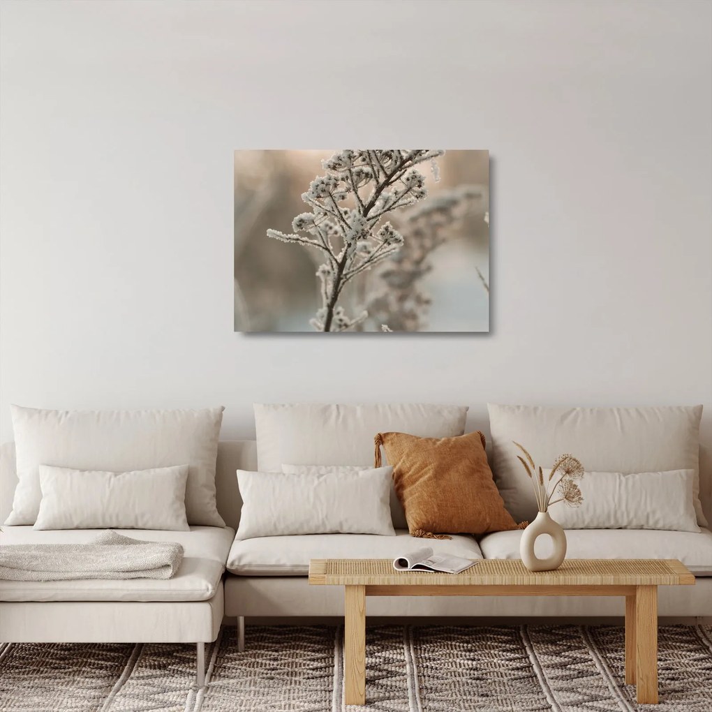 Obraz na szkle - Roślina w mrozie (70x50 cm)