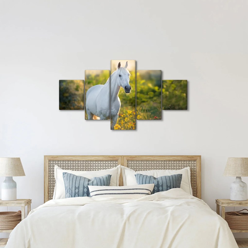 Obraz białego konia na łące (125x70 cm)