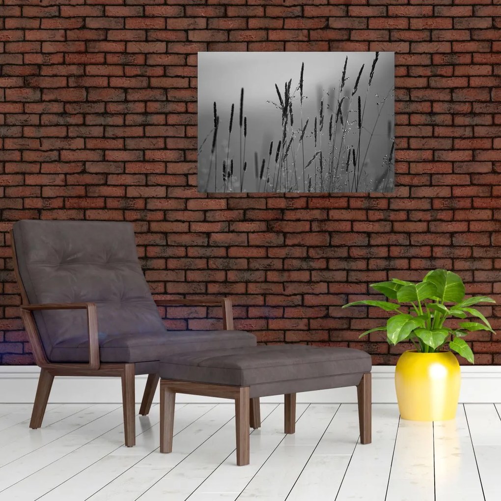Obraz na szkle - źdźbła trawy (70x50 cm)