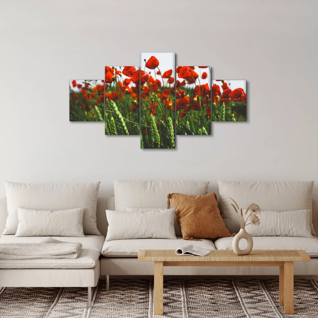 Obraz maków na wietrze (125x70 cm)
