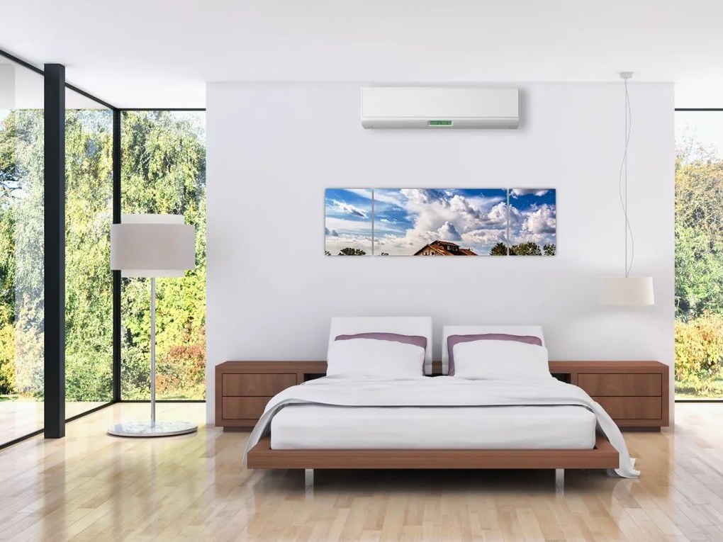 Obraz pola słoneczników (170x50 cm)