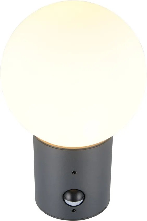 Lampa zewnętrzna ścienna z czujnikiem ruchu ø 18 cm Mures – Trio