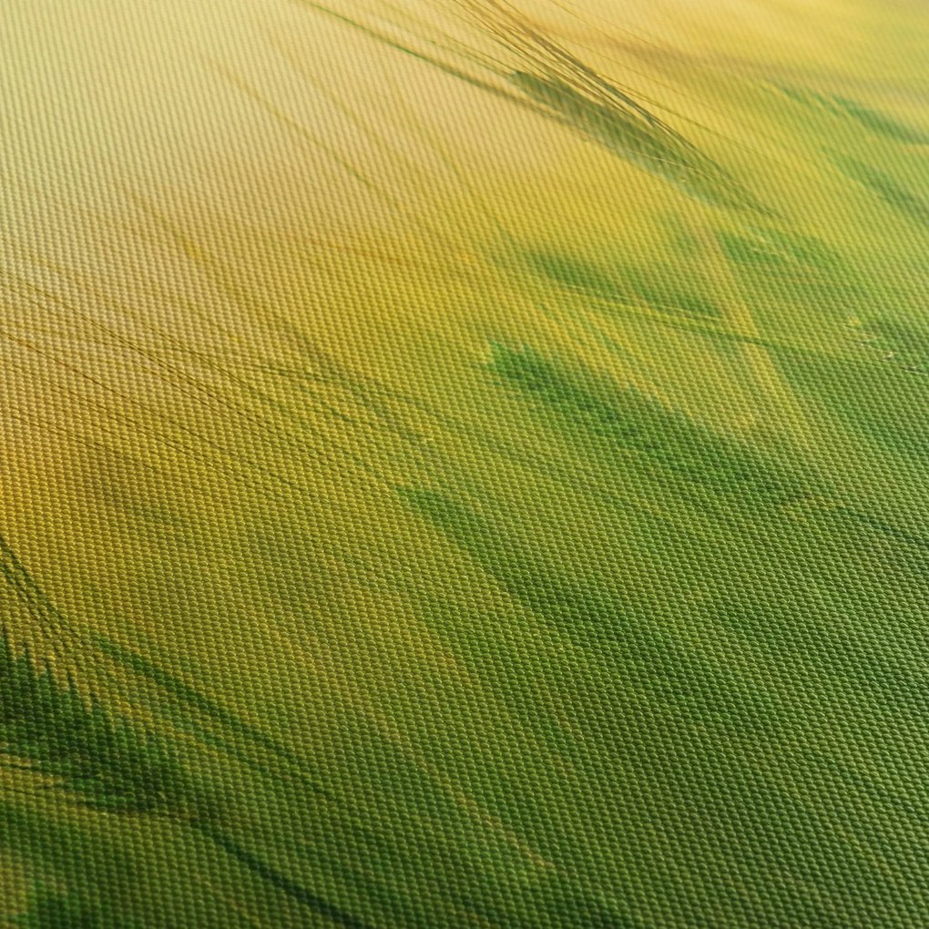 Obraz pola ze zbożem (170x50 cm)