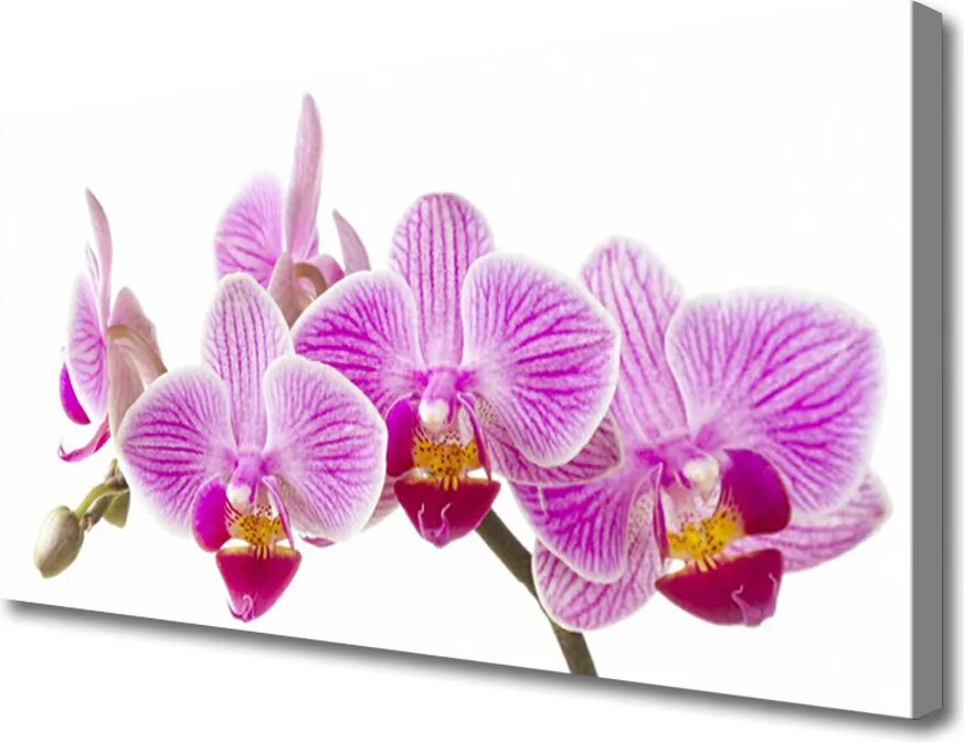 Obraz canvas Wyrafinowany Bukiet Roślinny