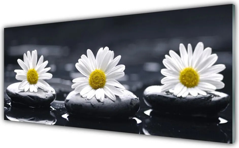 Panel nad blat kuchenny Stokrotka Wśród Kamieni
