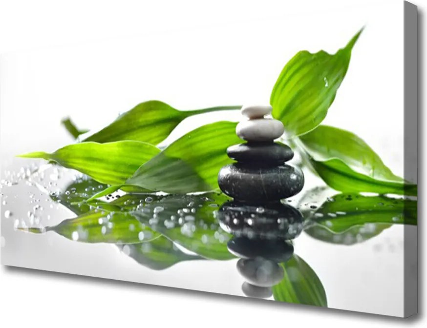 Obraz canvas Duet Kamienia i Liścia
