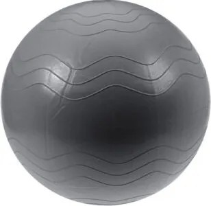 XQ Max Akcesorium do ćwiczenia Yoga Ball śr. 65 cm, srebrny