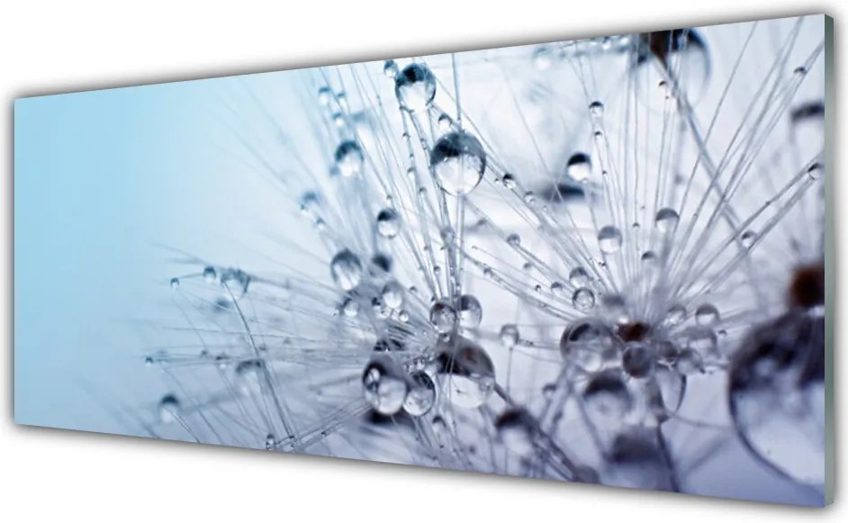 Panel Szklany do Kuchni Puszysta Kula Mniszka