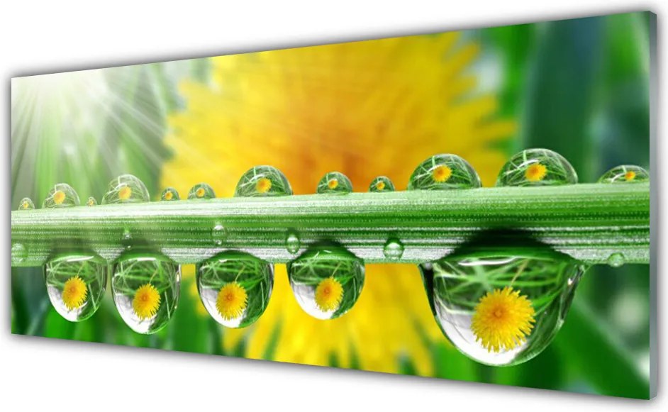 Panel nad blat kuchenny Poranny Detal Roślinny