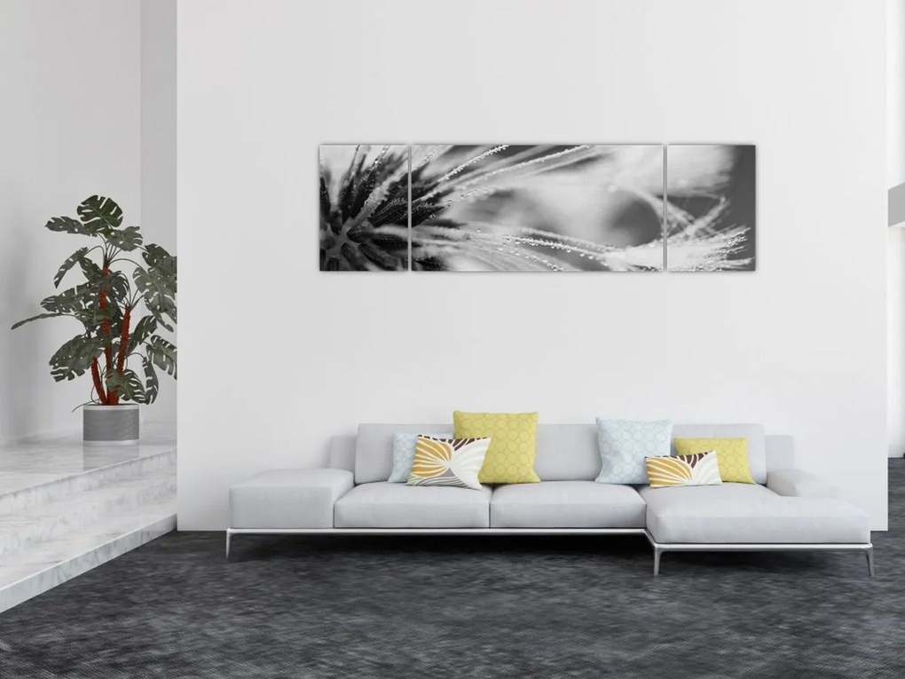 Obraz - Makro, czarno - biały (170x50 cm)