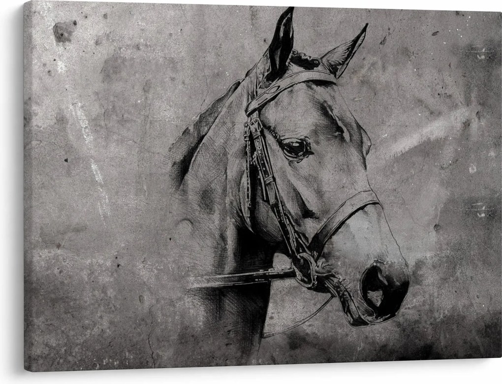 Obraz - Portret konia (70x50 cm)