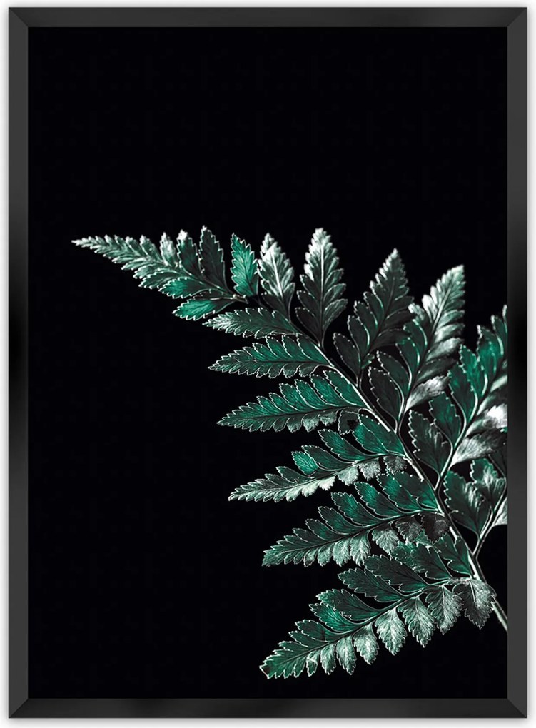 Plakat Dark Fern Leaf