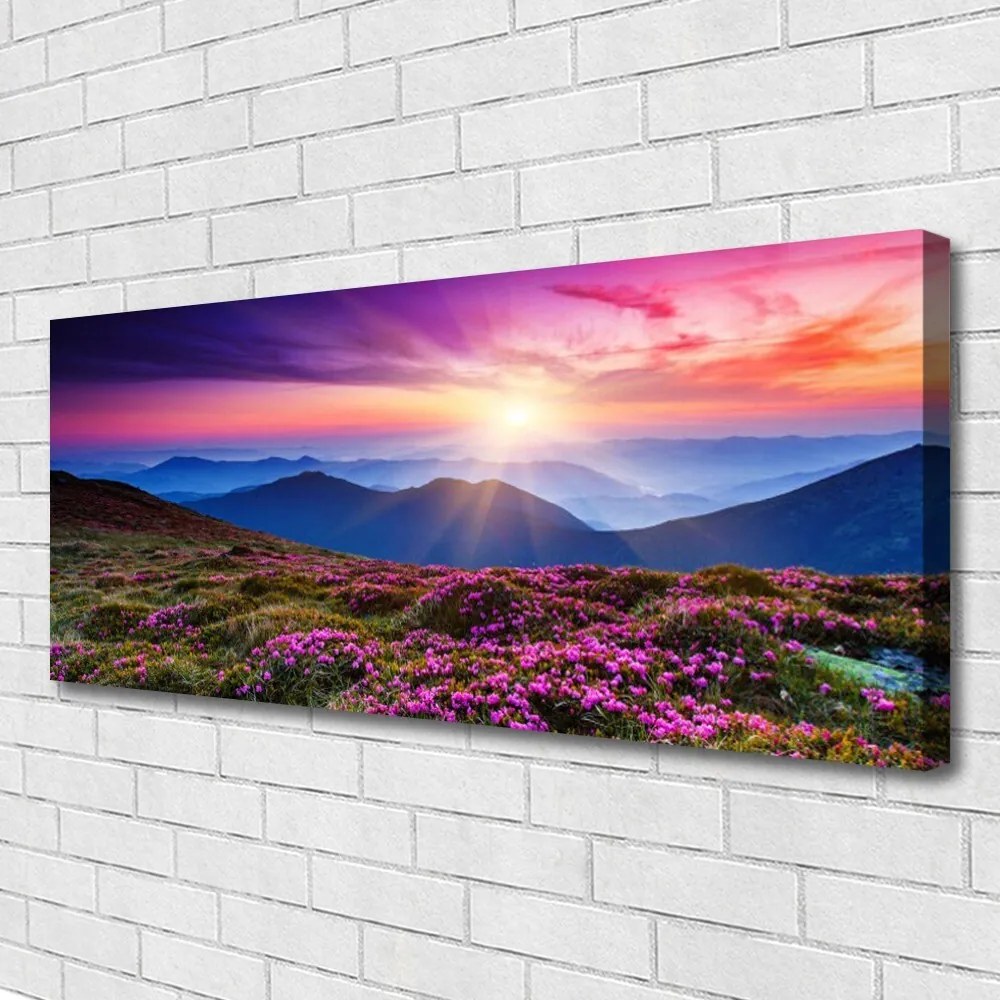 Obraz Canvas Góra Łąka Słońce Krajobraz