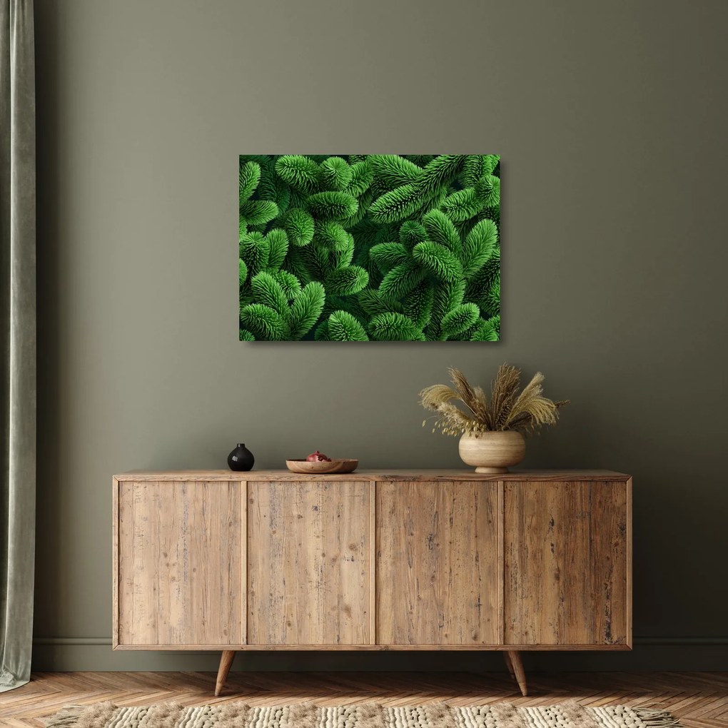 Obraz na szkle - Gałązki drzew iglastych (70x50 cm)