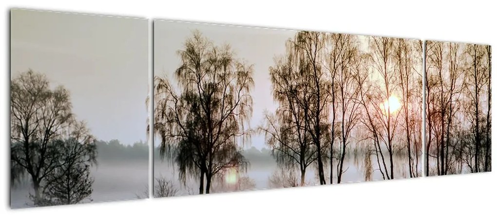 Obraz - Poranna suchość (170x50 cm)