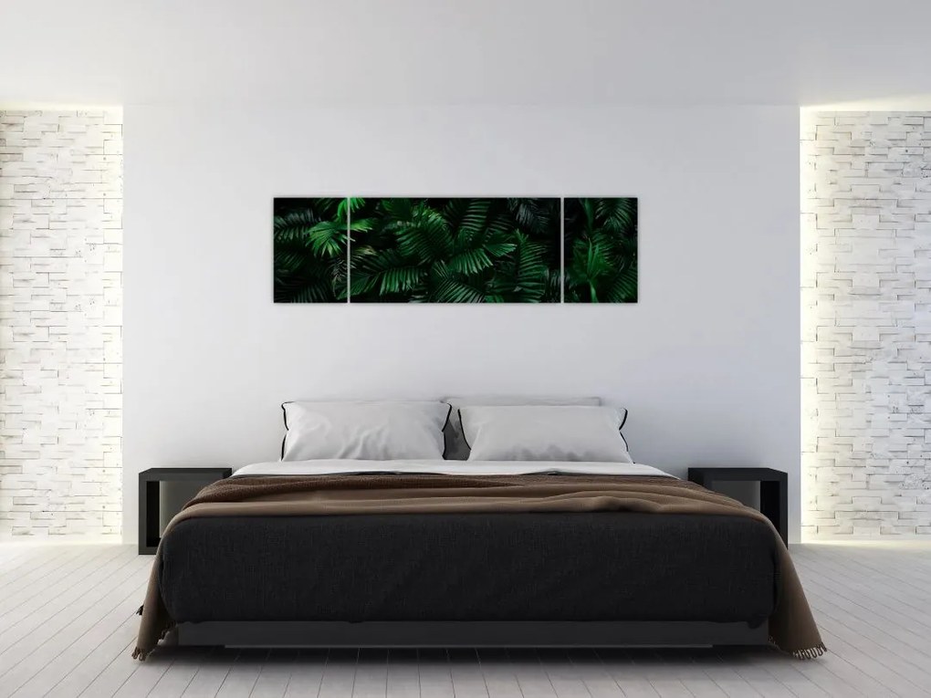 Obraz - Paprocie tropikalne (170x50 cm)