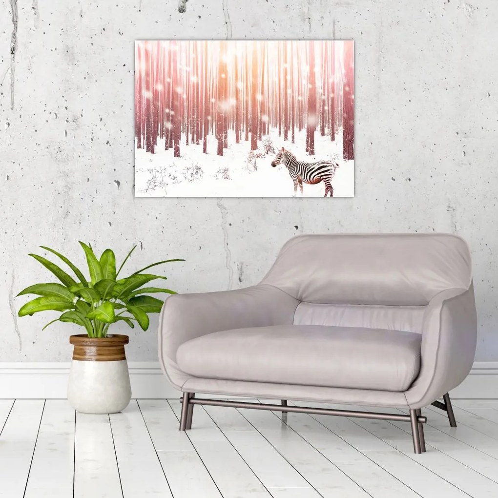 Obraz - Zebra w śnieżnym lesie (70x50 cm)