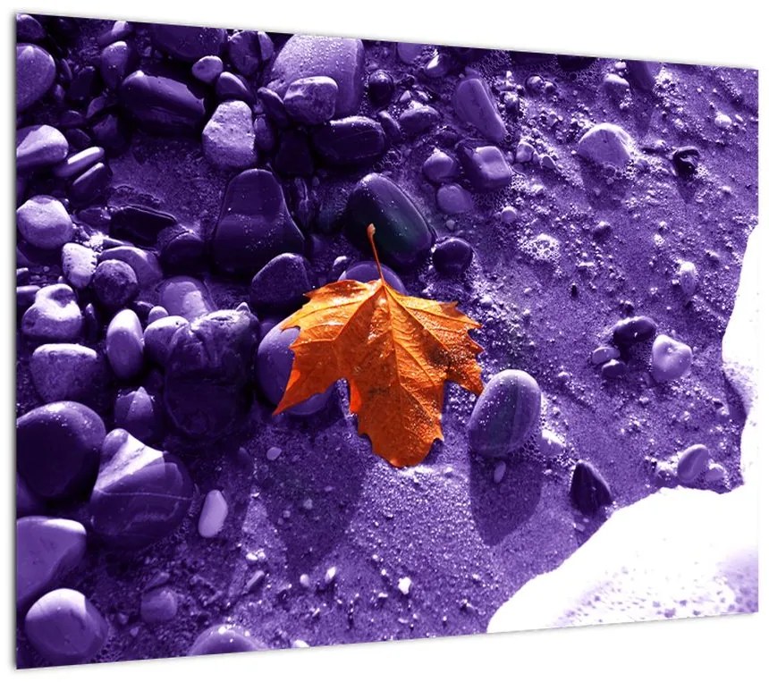 Obraz - Plaża morska (70x50 cm)