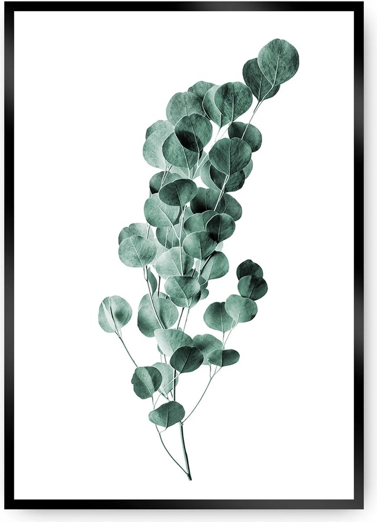 Plakat Eucalyptus Emerald Green
