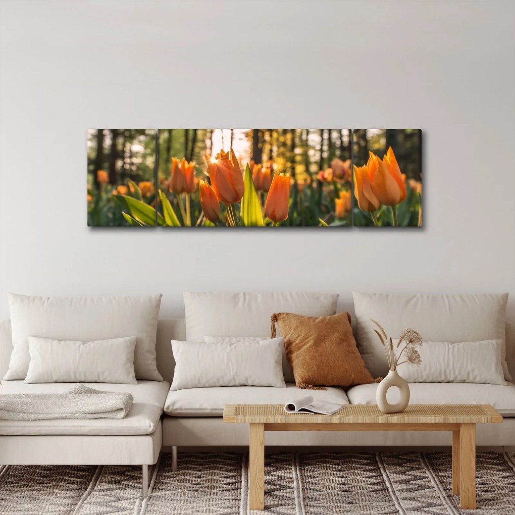 Obraz - kwiaty tulipanów (170x50 cm)