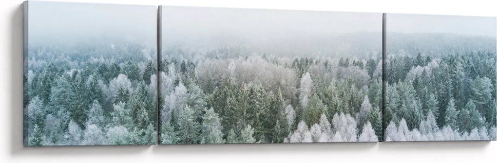 Obraz - Ośnieżone szczyty lasów (170x50 cm)