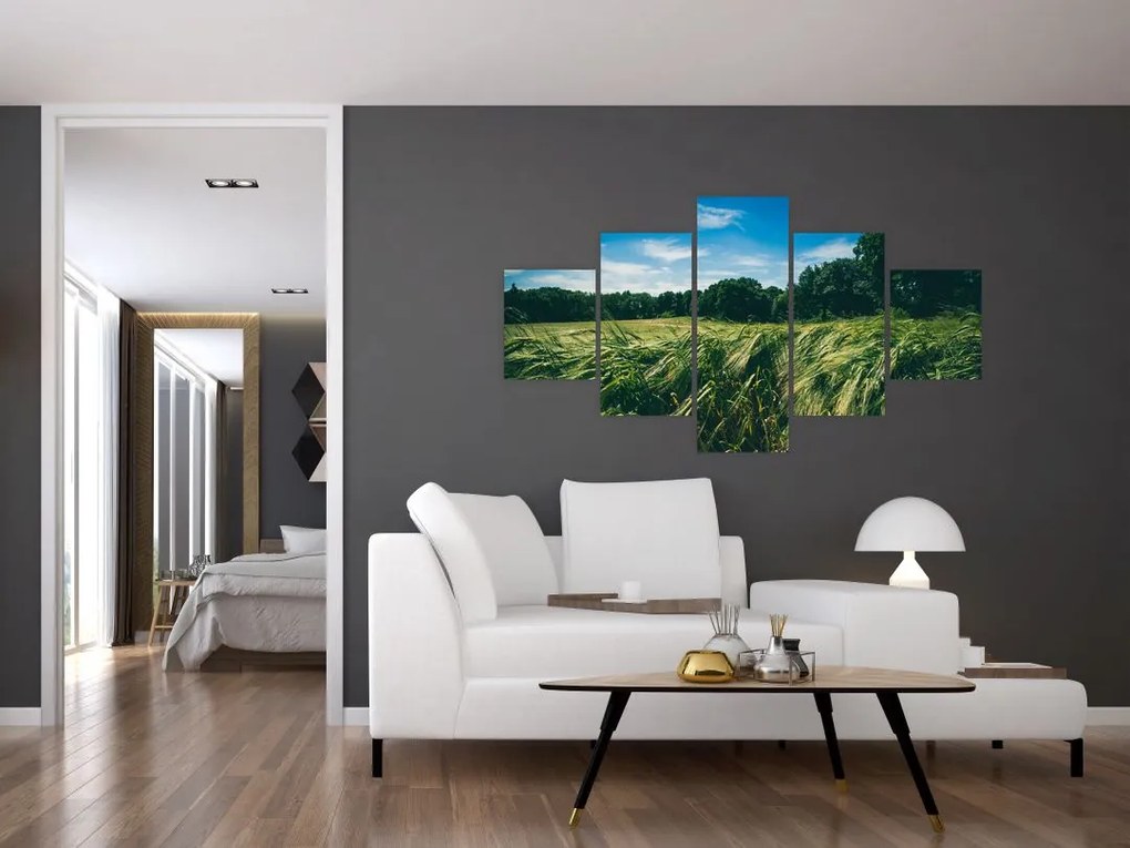 Obraz łąki i lasu (125x70 cm)