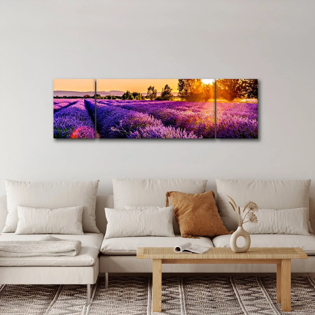 Obraz lawendowego pola (170x50 cm)