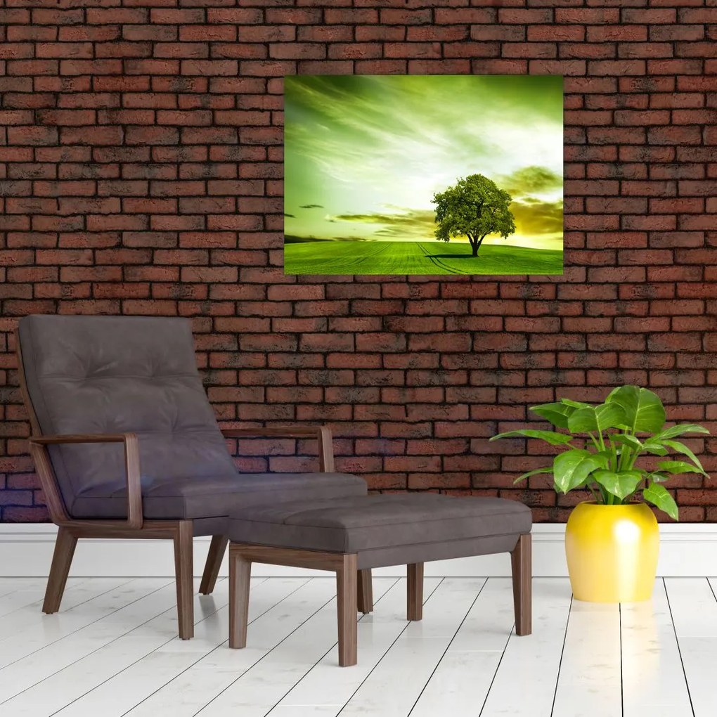Obraz - Drzewo życia (70x50 cm)