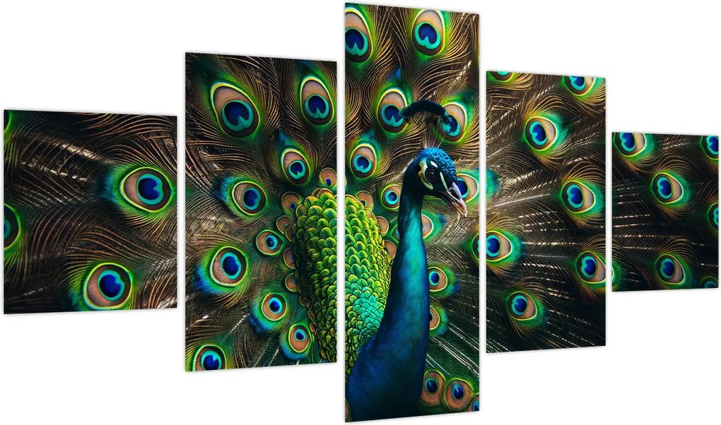 Obraz – Paw (125x70 cm)