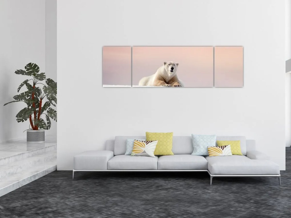Obraz - Niedźwiedź polarny (170x50 cm)