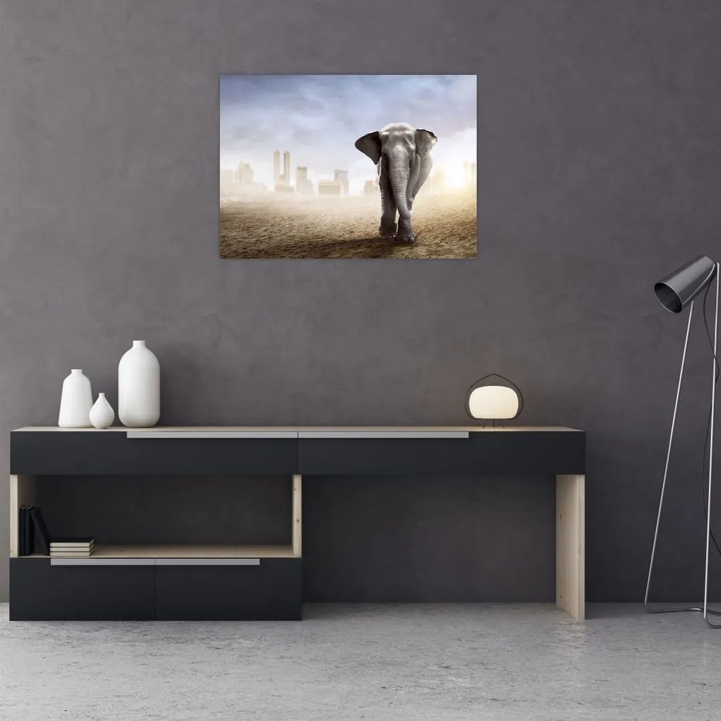 Obraz - Słonie w wielkim mieście (70x50 cm)