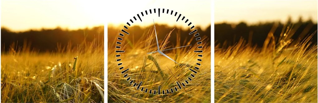 Obraz zroszonej trawy (z zegarem) (90x30 cm)