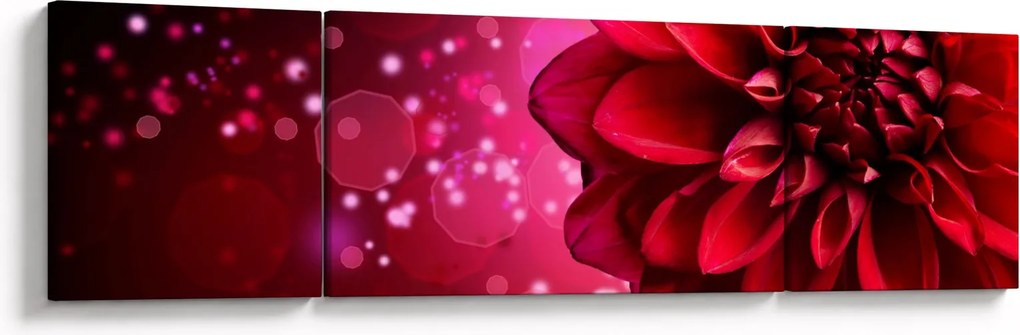Obraz czerwonego kwiatu (170x50 cm)
