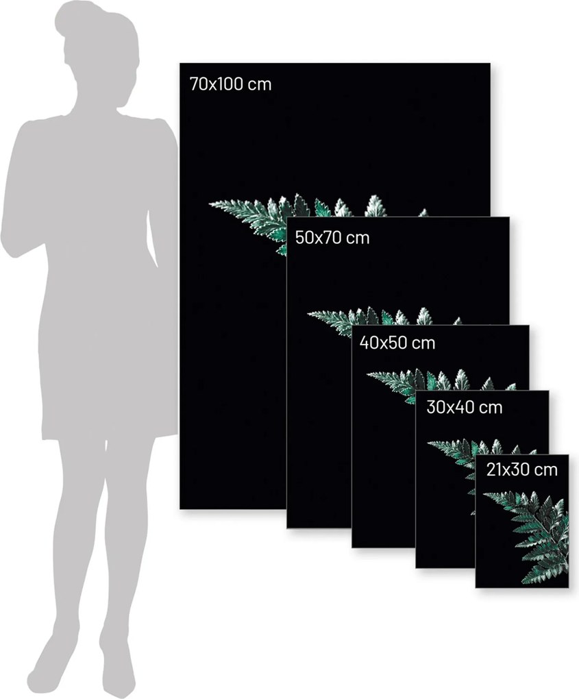 Plakat Dark Fern Leaf