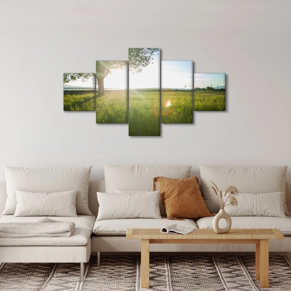 Obraz drzewa na polu (125x70 cm)