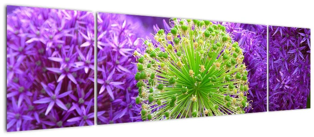 Obraz kwiatu (170x50 cm)