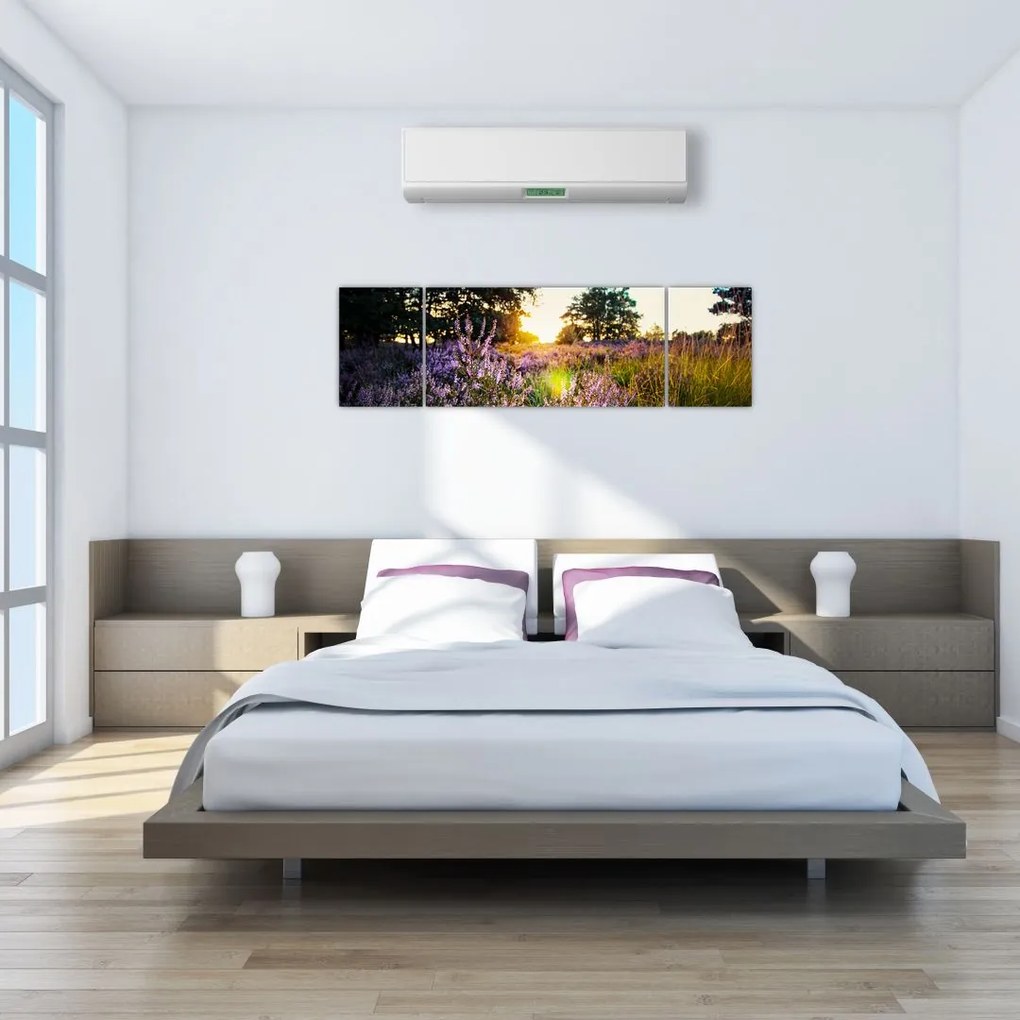 Obraz pola lawendy (170x50 cm)