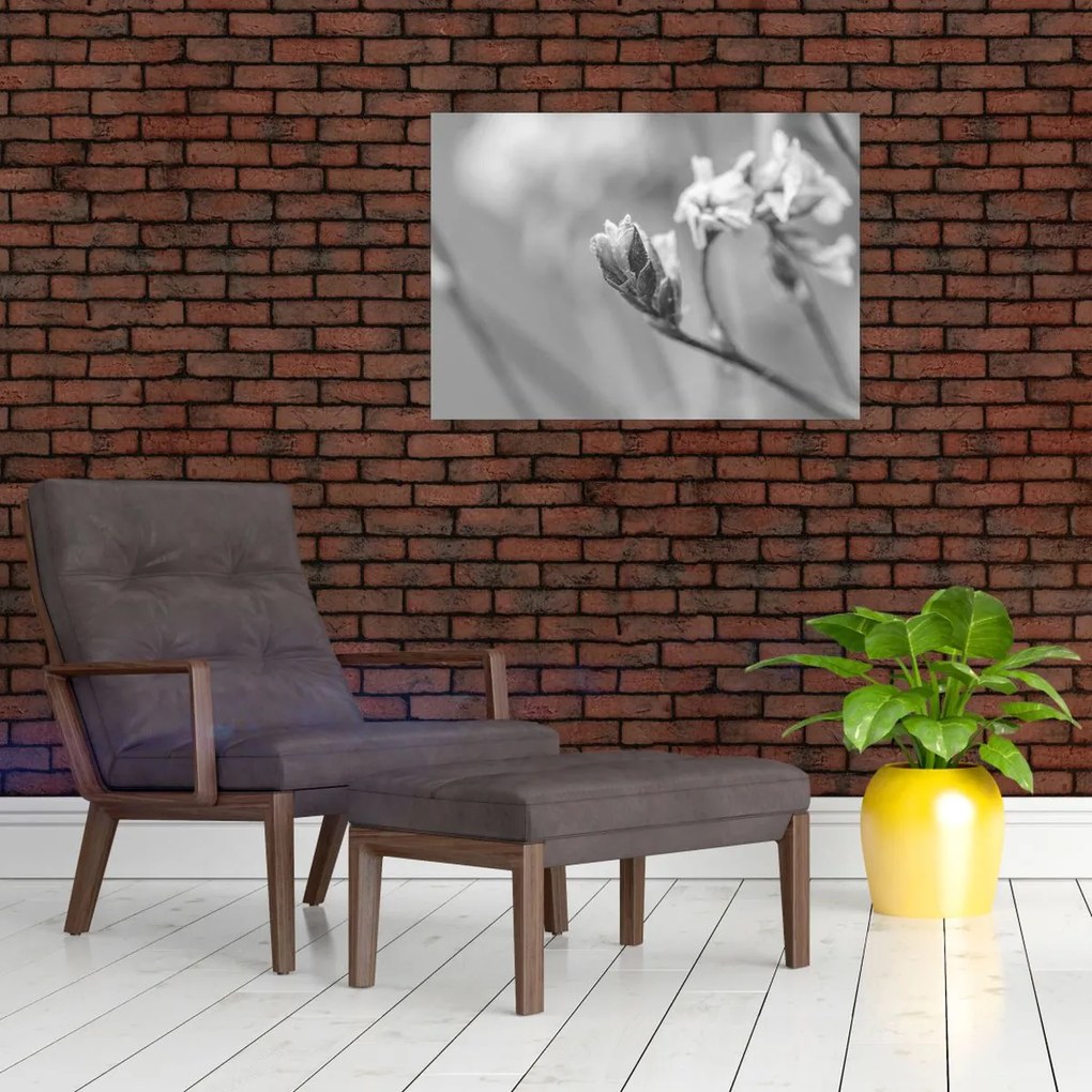 Obraz - Kwitnący kwiat (70x50 cm)