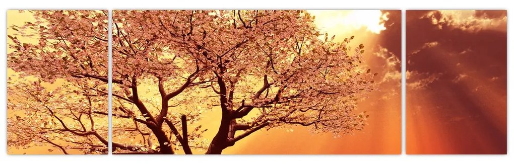 Obraz promieni Boga (170x50 cm)