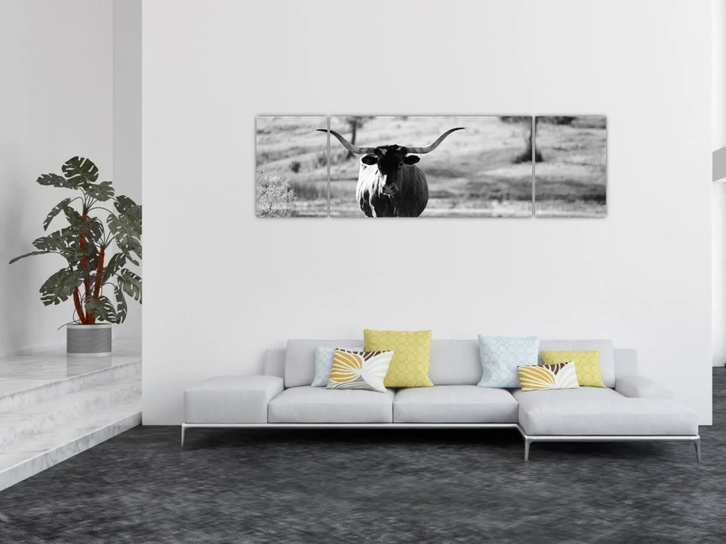 Obraz - Krowa, czarno - biała (170x50 cm)