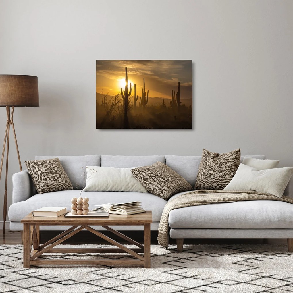 Obraz na szkle - Kaktusy Saguaro (70x50 cm)